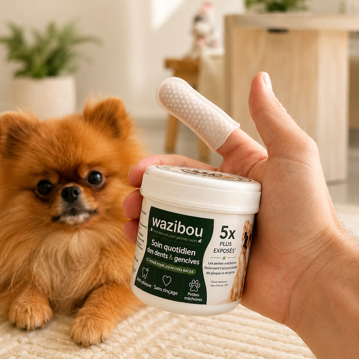 Wazibou — Lingettes dentaires pour petites races