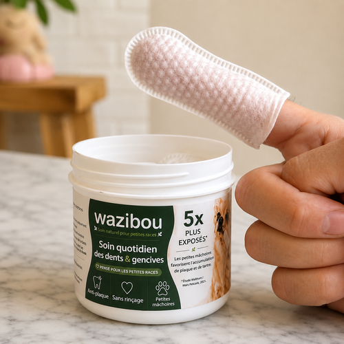 Wazibou — Lingettes dentaires pour petites races