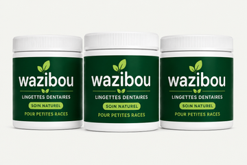 3 pots Wazibou