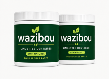 2 pots Wazibou